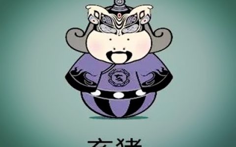 属猪和什么属相相冲