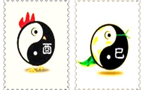 鸡和蛇的属相合不合 – 鸡和蛇婚配怎么样