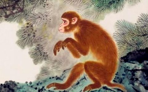 生肖猴什么时辰出生最好