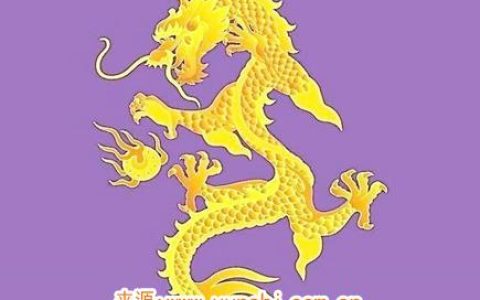 属龙纹身纹什么旺财