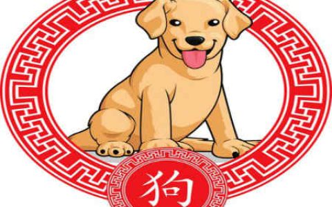 属狗的年份、是多少年的