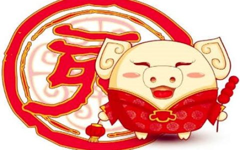 属猪和什么属相相克