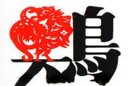生肖属鸡男最怕几月出生