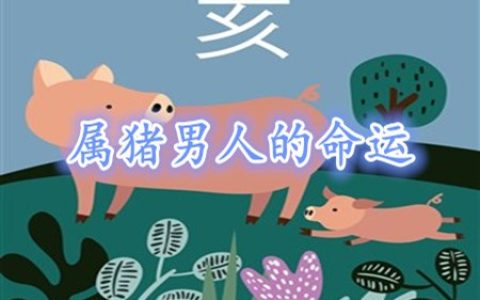 属猪的男人命好不好