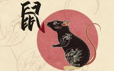 属鼠人做什么让另一半最感动