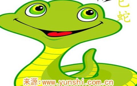 属蛇什么时辰出生命苦