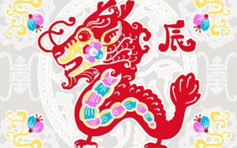 属龙人开店摆放什么招财