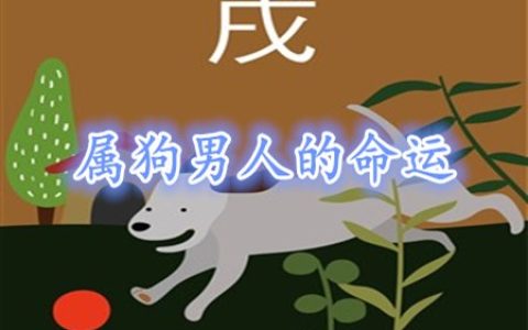 属狗的男人命好不好