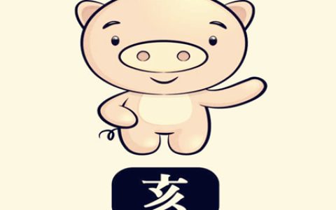 属猪的取名带什么字好 - 属猪取名宜用字大全