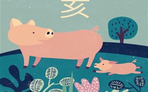 属猪适合什么职业