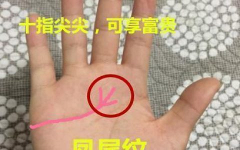 秒懂手相：从凤尾纹看亲和力