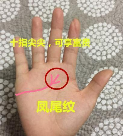 秒懂手相：从凤尾纹看亲和力