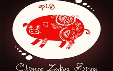 属猪的人取名