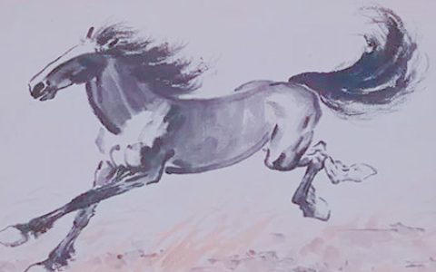 属马和什么生肖合财