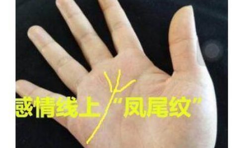 手相有“凤尾纹”的女人，生来好命，注定成为富太太，夫疼子