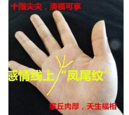 手相有“凤尾纹”的女人，生来好命，注定成为富太太，夫疼子