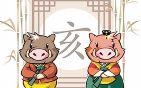 属猪的最佳配偶