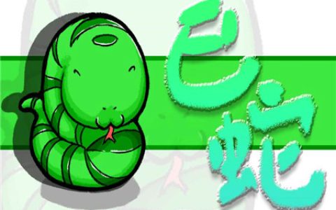 属蛇床头朝哪个方向好