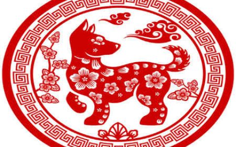 生肖狗的健康运势
