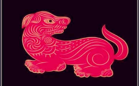 狗和鸡的属相合不合 - 狗和鸡的婚配怎样