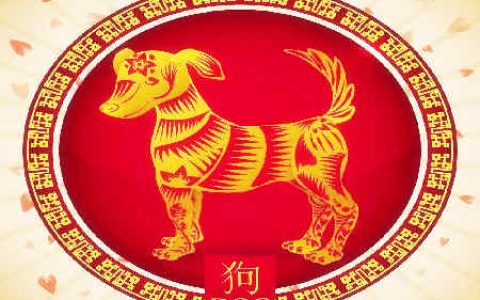 狗和狗的属相合不合 - 狗和狗的婚配怎样