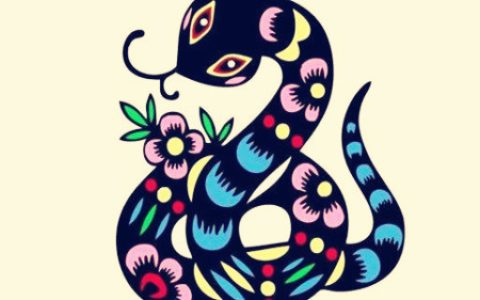 属蛇的幸运花是什么花