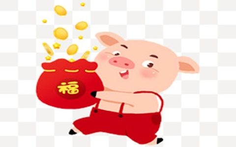 属猪女人的性格特点及脾气
