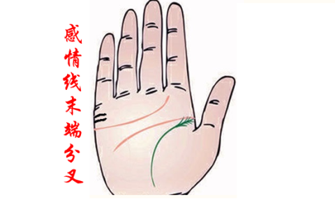 观人相术：手相看会不会离婚，手相看婚姻是否二婚。