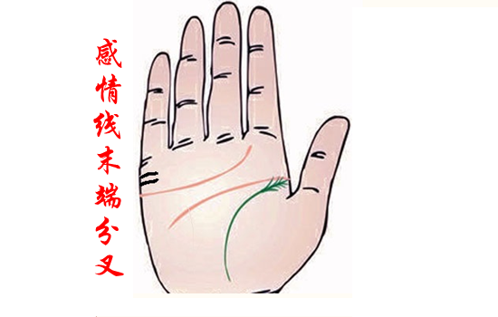 观人相术：手相看会不会离婚，手相看婚姻是否二婚。