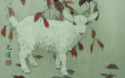 生肖羊不能配什么生肖