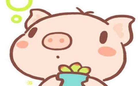 属猪性格优点与缺点-