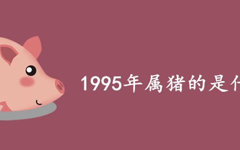 95年是什么命 1995年属猪的是什么命