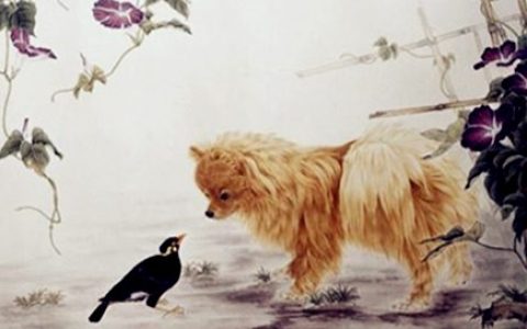 生肖狗什么时辰出生最好