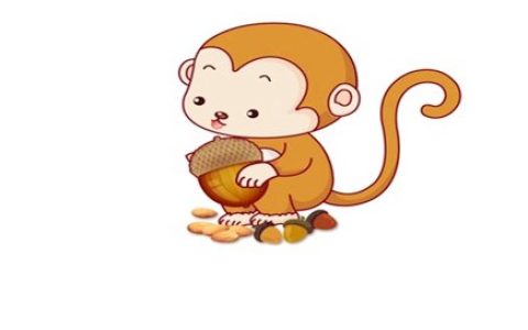 属猴人一生的健康状况