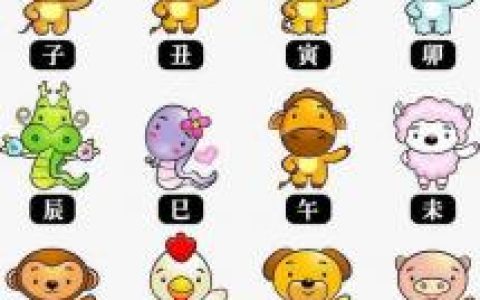 十二生肖五月事业运(2022年)按先后排序