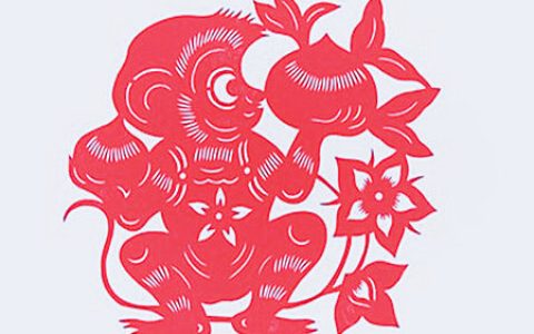 属猴办公室放什么植物旺财