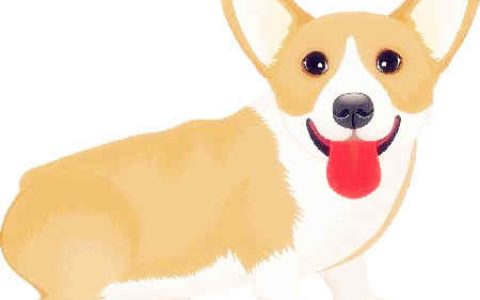狗和猴的属相合不合 – 狗和猴的婚配怎样