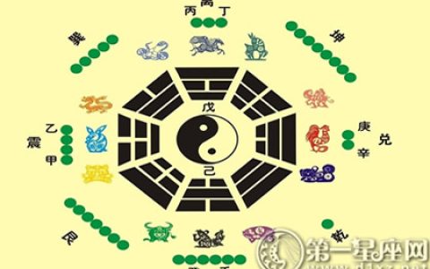公司会议室墙上挂八卦图好吗
