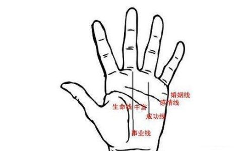 手相分析之事业线大全：事业线大应该怎么看？