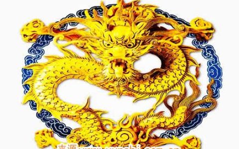属龙最吸引人的地方