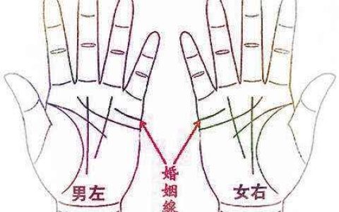 手相分析之婚姻线大全：婚姻线应该怎么看？