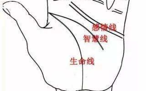 手相分析之感情线大全：感情线应该怎么看？