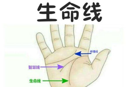 手相算命：生命线长的寿命一定长吗?