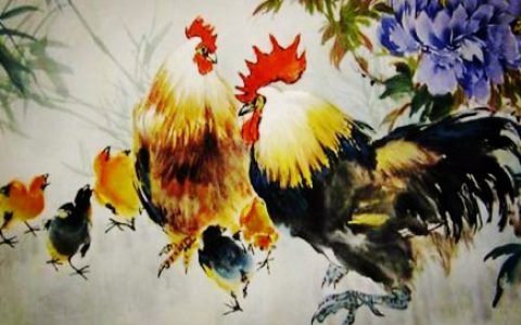 属鸡人和什么生肖合作好