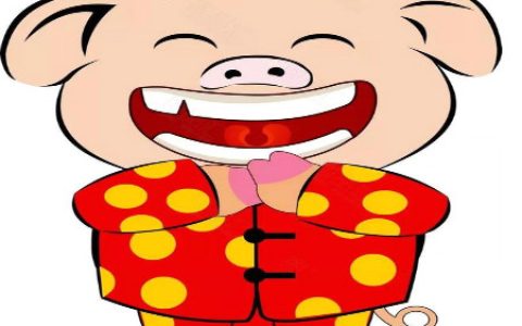 属猪的年份、是多少年的