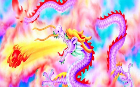 属龙人家里摆放什么好