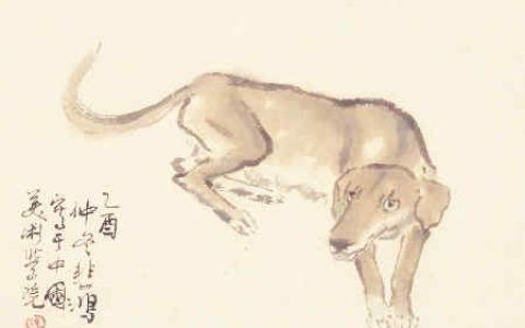 狗和牛的属相合不合 – 狗和牛的婚配怎样