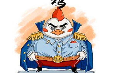 属鸡的男人对待感情如何