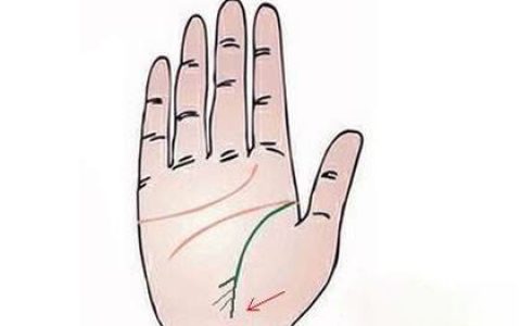 手相知识：生命线起端有分叉代表什么？