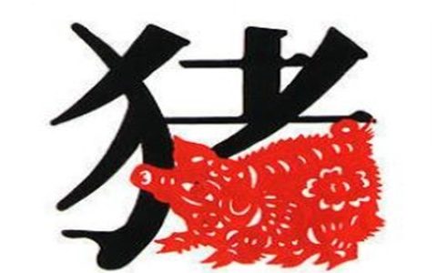 生肖属猪男最怕几月出生